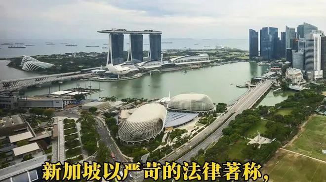 铁小便被捕后罚款上万网友：素质低别来新加坡m6米乐app丢脸！一中国男子在新加坡地(图9)
