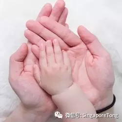 无处不在别怪我没提醒你米乐m6新加坡奇葩法律(图3)