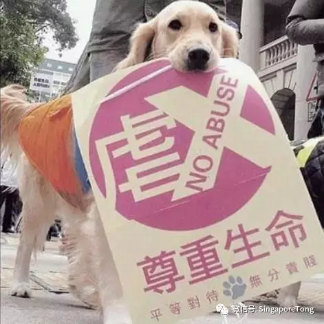 无处不在别怪我没提醒你米乐m6新加坡奇葩法律(图4)