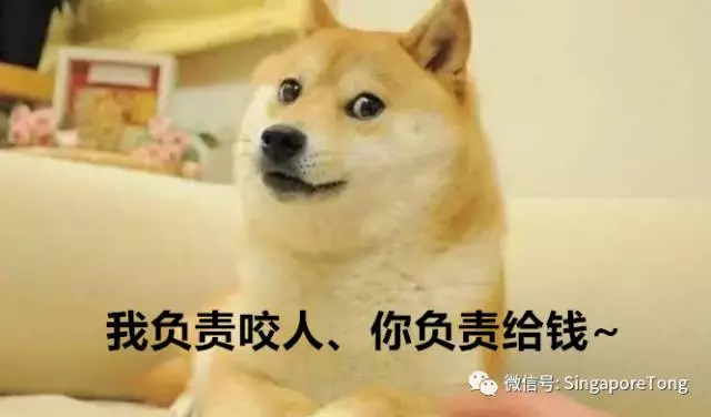 无处不在别怪我没提醒你米乐m6新加坡奇葩法律(图19)